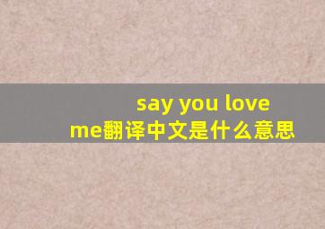 say you love me翻译中文是什么意思